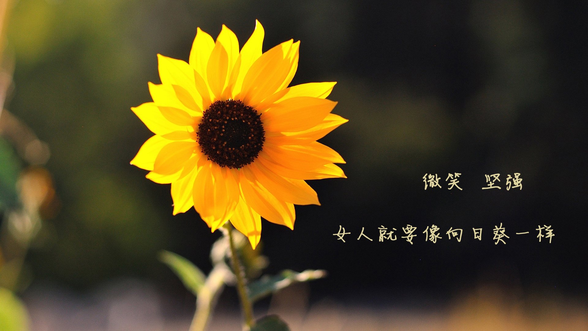 海洋监测设备厂家排名前十名（海洋监测设备厂家排名前十名有哪些）