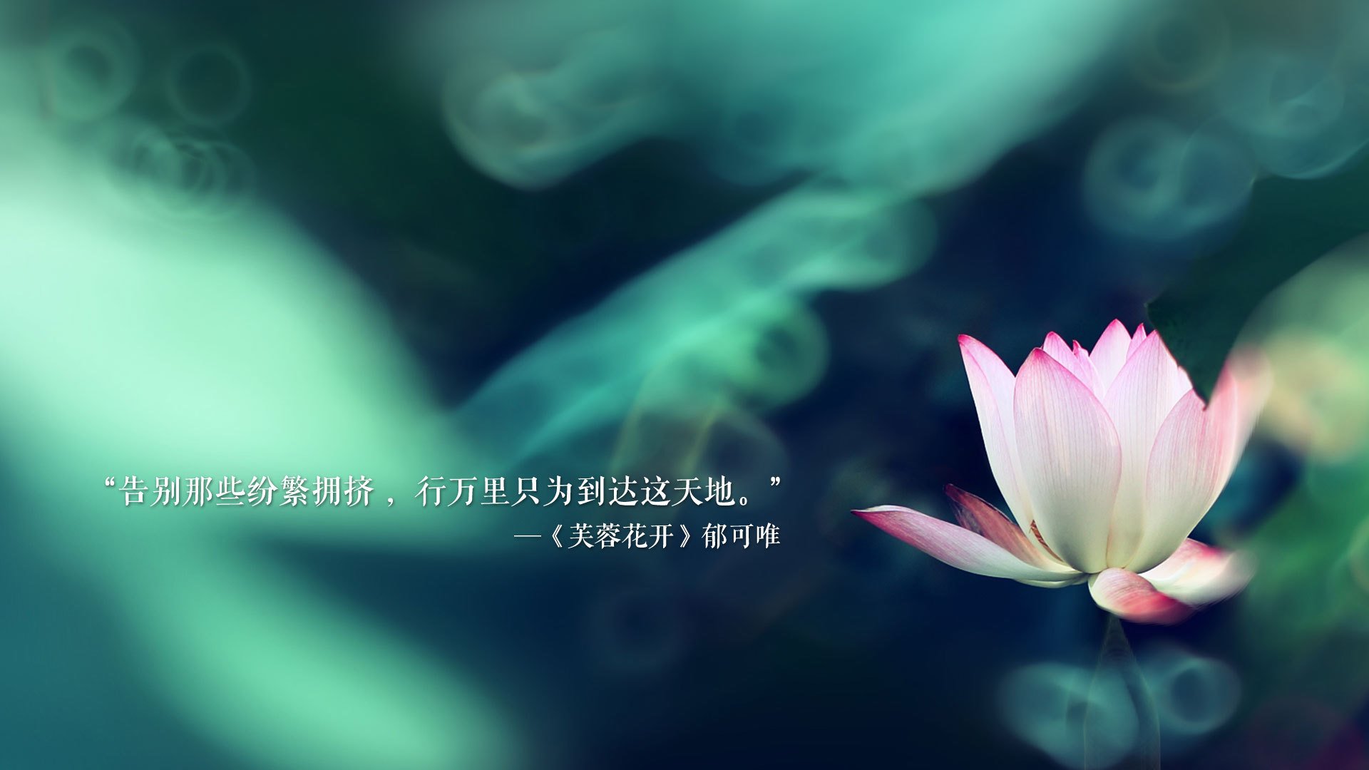 海洋生态保护绘画图片素材高清(海洋生态保护海报)